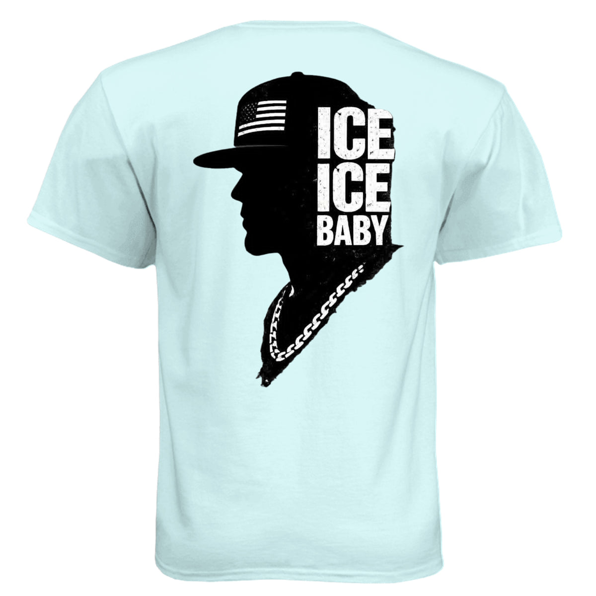 Ice Blue - N6210 - BACK